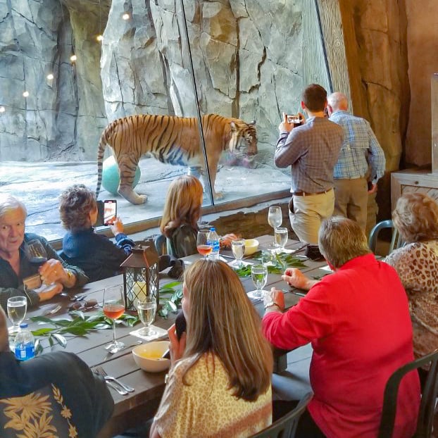 Tastings with Tigers 1